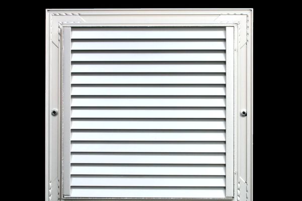 nv-non-vidion-back-9116A136B2AC-63F3-F69A-2CD2-84E5AF7B76C6.jpg